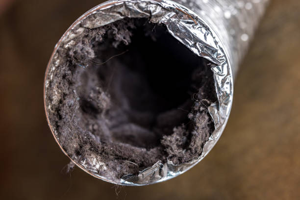 Best Ductwork Cleaning Services  in Glenview, IL